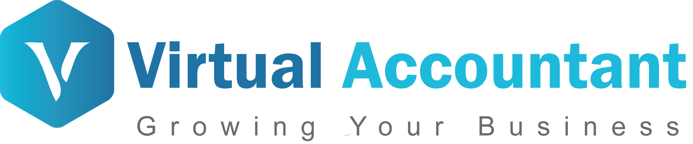 Virtual Accountant ERP